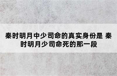 秦时明月中少司命的真实身份是 秦时明月少司命死的那一段